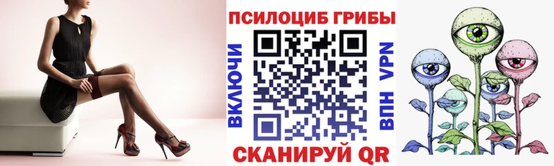 купить наркоту Кремёнки Псилоцибиновые грибы Cubensis